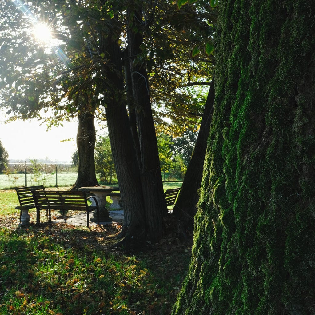 Foto Villa Maria Grazia